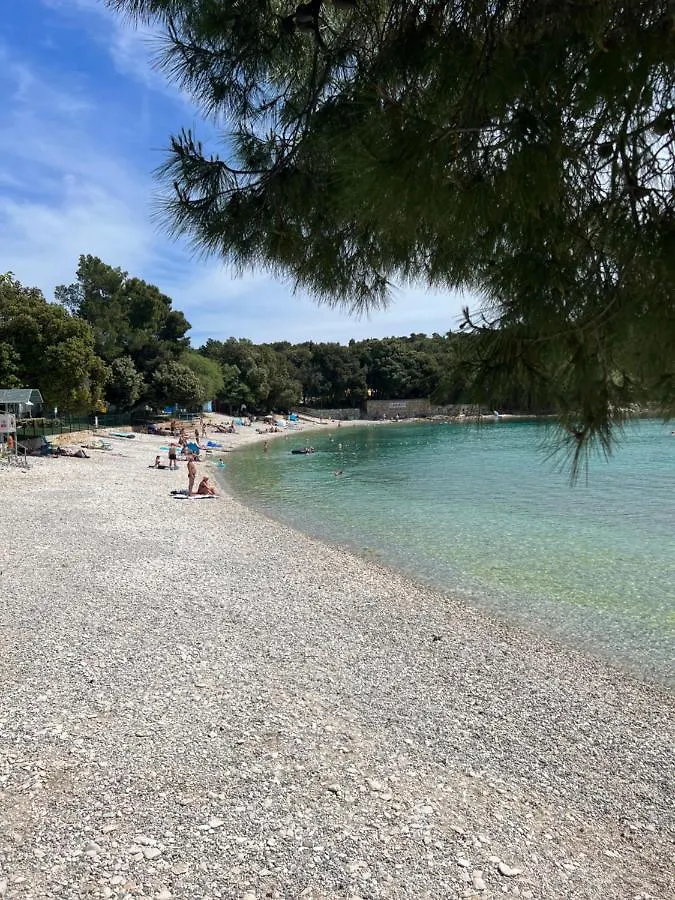 Апартаменты Istria Банджоле